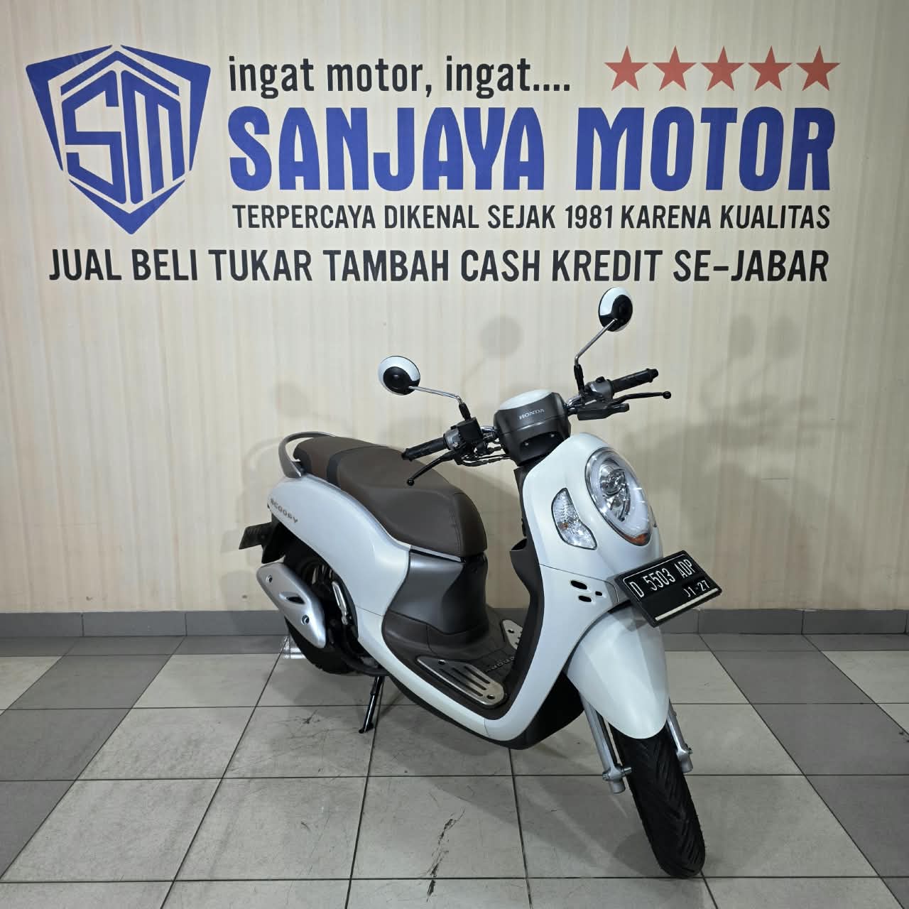 Pro 24